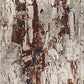 Olimpos Rug 4 - Royal Living Furniture
