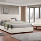 Bed Creme Beige-IF 5568 - Royal Living Furniture