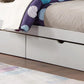 Bunk Beds - B-121 E/G/W/H - Royal Living Furniture