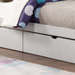 Bunk Bed-B 123 - Royal Living Furniture