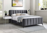 Bed Grey-IF5120 - Royal Living Furniture