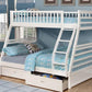 Bunk Beds - B-117 E/G/W/H - Royal Living Furniture